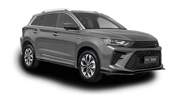 SWM G01F 1.5T DCT Smart